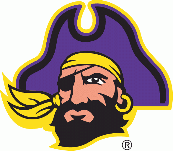 East Carolina Pirates 1999-2003 Secondary Logo DIY iron on transfer (heat transfer)